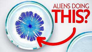 Astrobiology: The Bacterial Reason We Find No Aliens