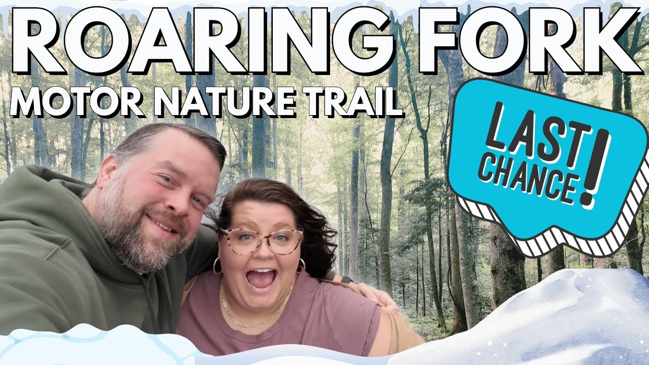 Живописная зимняя поездка: автомобильная трасса Roaring Fork Motor Nature Trail в Гатлинбурге, шт...