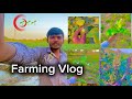 Fast Vlog Deshi Farming Vloger 😱🌾 Voging Farm Deshi Life Farmer #farming #vlog #farmer #vlogger