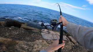 TEXAS WINTER FISHING! Jetty fishing at its Finest. Surfside Jetty.