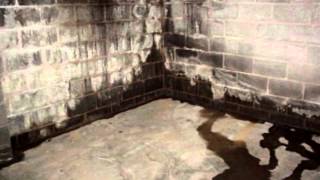 Alternative to Conventional Carpet for the Basement | Ask the Expert | Lowcountry Foundation Repair