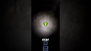 Dead Silence Roblox Full Walkthrough & What To Do Next