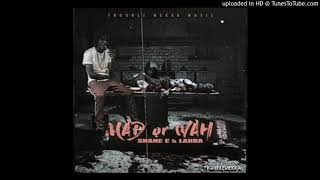 Shane E Ft. Lahba – Mad or Wah