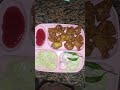chicken pakoda recipe #cooking #food #viral