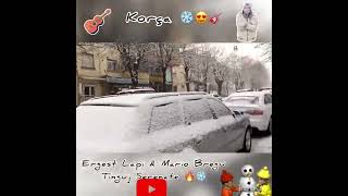 Tinguj Serenate Snow Version.