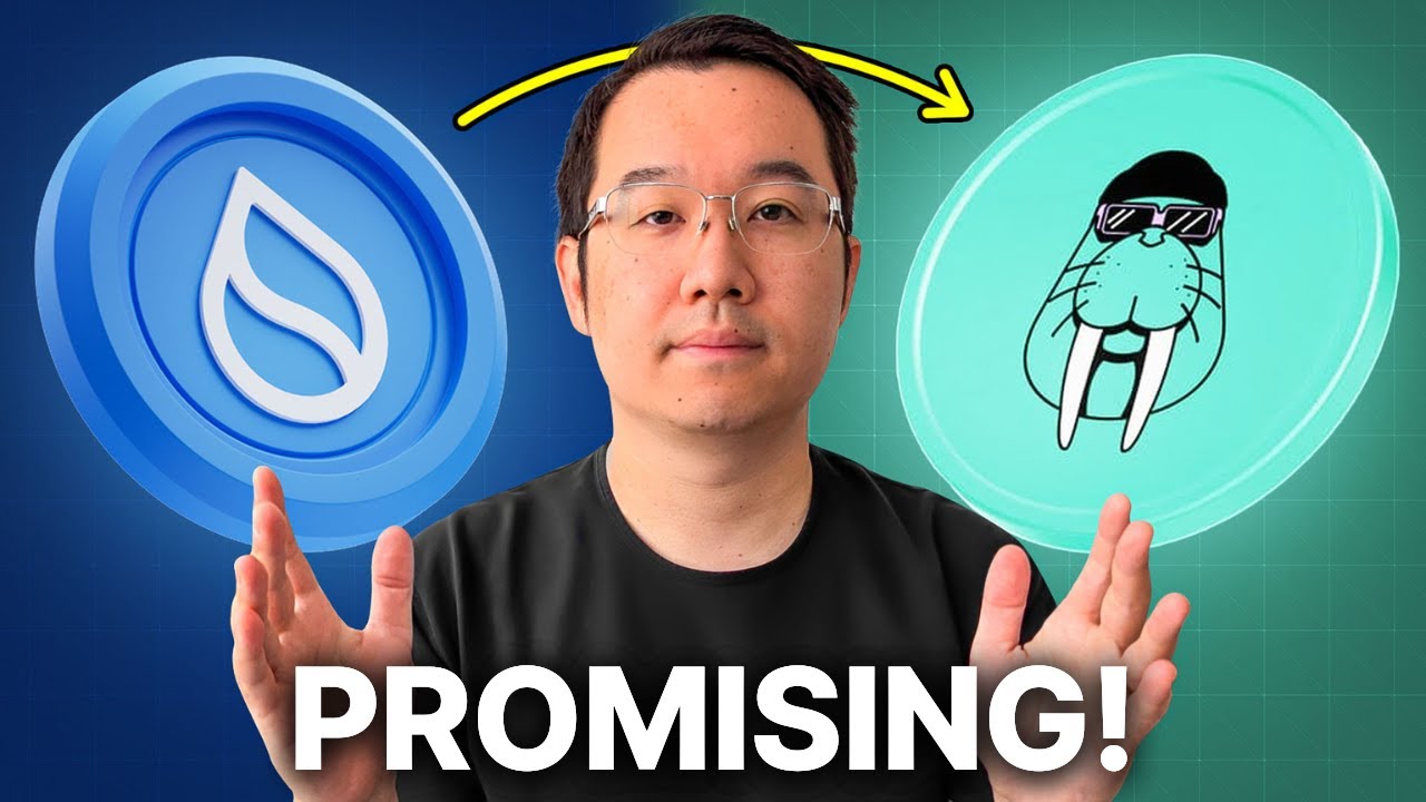 Sui’s Next Big Bet? What You NEED to Know About Walrus