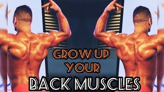 How to get bigger back muscles