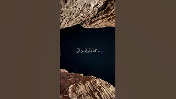 سورة الزمر آية(8) القارئ صالح الأنصاري #قرآن #اكسبلور #راحة_نفسية #quran