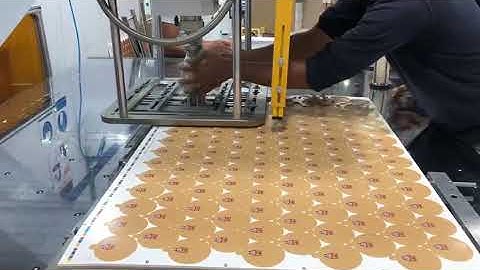 Automatic Label/Tag Waste Stripping machine