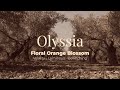 Sylvaine Delacourte Olyssia