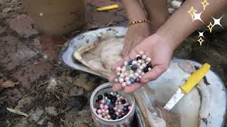 Treasure hunt/Ugly clams are stuffed with pearls, the process of releasing them is so decompressing
