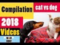 Funny CATS vs DOGS ! Compilation 2018 😺🐶