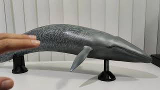 Review Ballena Azul Kaiyodo Mega Sofubi Advance Blue Whale - Dinokiwi