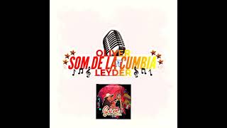 EL CHOCHO (COVER) 2025 OMV SOM FT LEYDER AUDIO OFICIAL