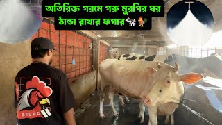 অতিরিক্ত গরমে গরু মুরগির ঘর ঠান্ডা রাখার ফগার🐄🐓