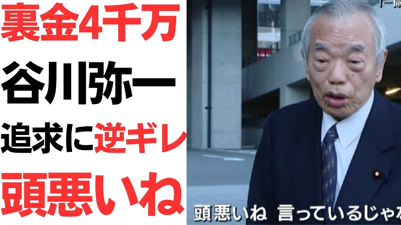 谷川弥一議員の裏金疑惑と記者会見を扱う動画のサムネイル