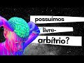 O que é o livre arbítrio? Sem livre arbítrio, sem responsabilidade? (por Denis Coitinho) | Ética