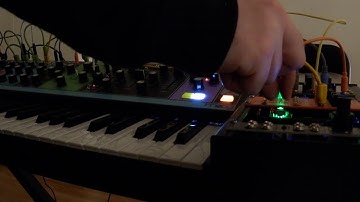 Fun Patch with Moog Matriarch