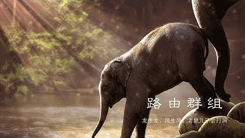 路由检查和路由群组如何让工作变得更简单