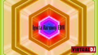 Igotta Harmony EDM #03