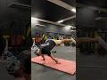 #calisthenis #fitness #workout #workoutmotivation #gymmotivation #shortvideo #short #shorts