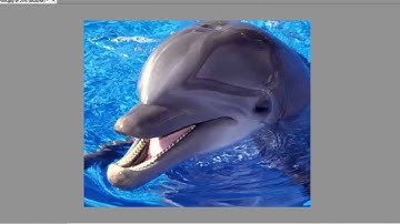 DPD Video 2 Steps in Finalizing Photo