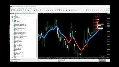 How to set up and receive Mobile alert in Metatrader 4, Install EA, and TP/SL for Beginners.