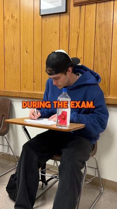 How to Ace an Exam WITHOUT Studying #shorts #school #study