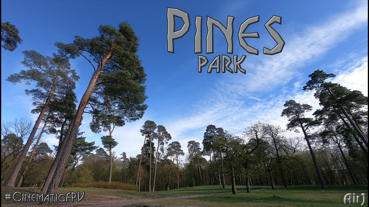 Pines