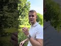 Schlechte Zinssätze aufgrund geringem Einkommen