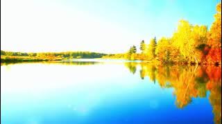 Autumn Serenity 🍂 Relaxing Instrumental Music with Gentle Wind & Birds for Café, Study & Focus
