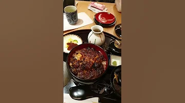 Step By Step How To Ochazuke Unagidon Japanese Eel On Rice In Tokyo 