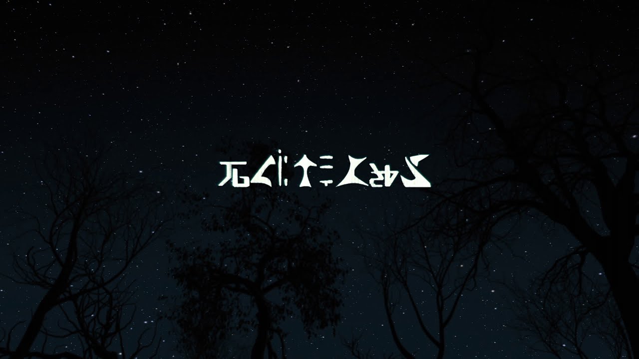 Imagen 9 de servicio