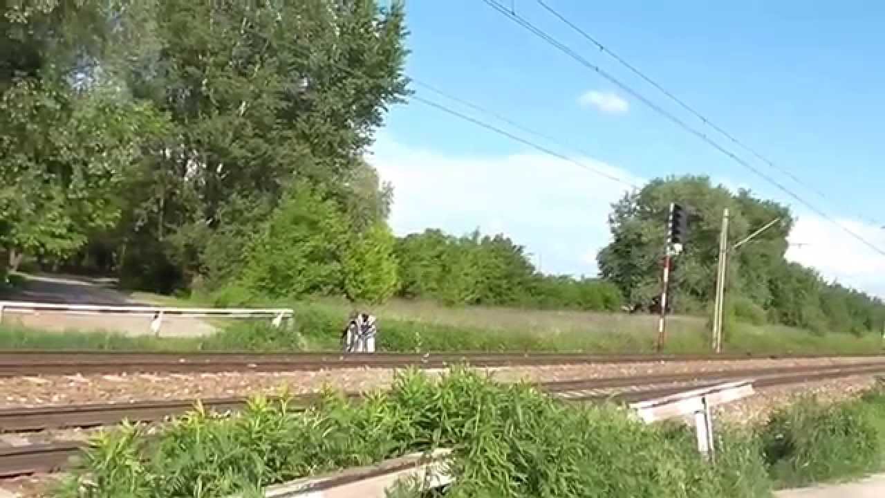 Dzikie Przej cie Przez Tory Pu awy Ul Sk adowa Bezpieczny Przejazd dzikie-przej-cie-przez-tory-pu-awy-ul-sk-adowa-bezpieczny-przejazd