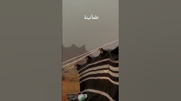 تلاوة عطرة #القرانالكريم #تلاوة_خاشعة #تلاوات #ارحقلبك #ارحسمعك #ارح_قلبك