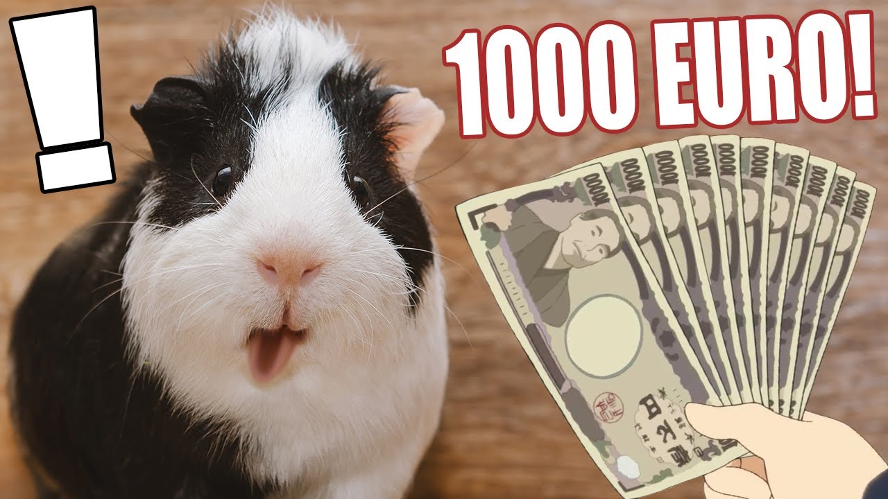 Vollkommen übertrieben! ÜBER 1000 EURO Spende! OMG!? 😱😱😱 | Die Meeries