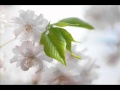 蛻変 ～transformation～