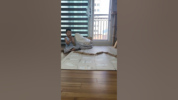조카랑 놀아 주기 도미노