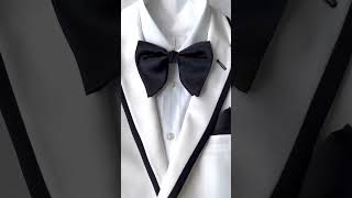 Oversized Bow Ties Tie Mood