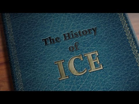 Ice Meaning Government Agency