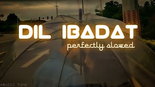Dil Ibadat [Lo-Fi] | (slowed+reverb) | Emran hashmi | KK | Amusic Tune