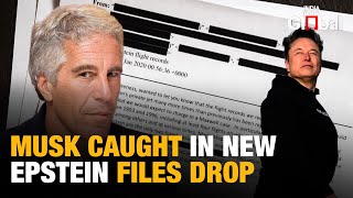 Epstein Files: Musk Island Email, Gates & Trump Named in Massive 3 Million Page DOJ Release
