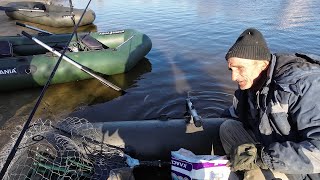 видео: Такого ранку ми не чекали! Екстримальна риболовля на Дніпрі картинка: Такого ранку ми не чекали! Екстримальна риболовля на Дніпрі