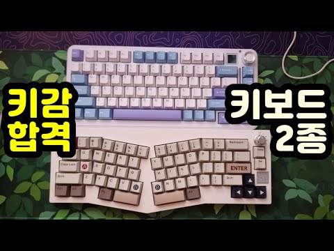 【키보드 리뷰, 자막有】 에포메이커 Cypher81, Alice66 | 플라밍고축, 위스테리아축 | 핫스왑 기계식키보드 추천 | 앨리스배열 키보드 추천