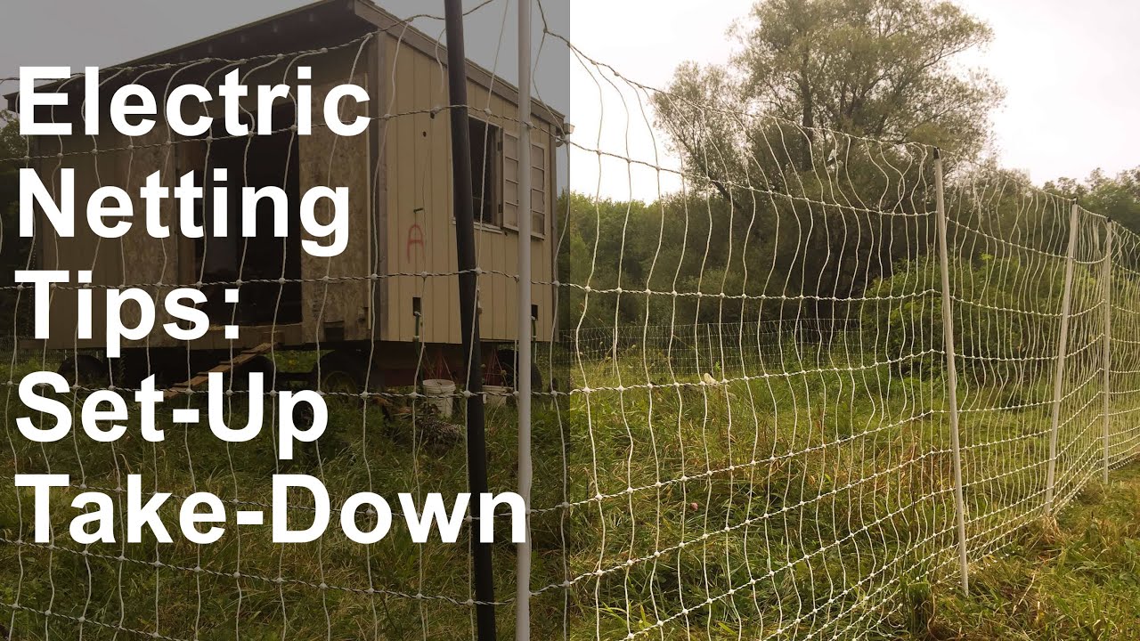 Electric Netting Tips Setting Up And Taking Down Youtube Electric Netting Tips Setting Up And Taking Down Youtube