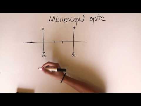 13.Optică - Microscopul optic