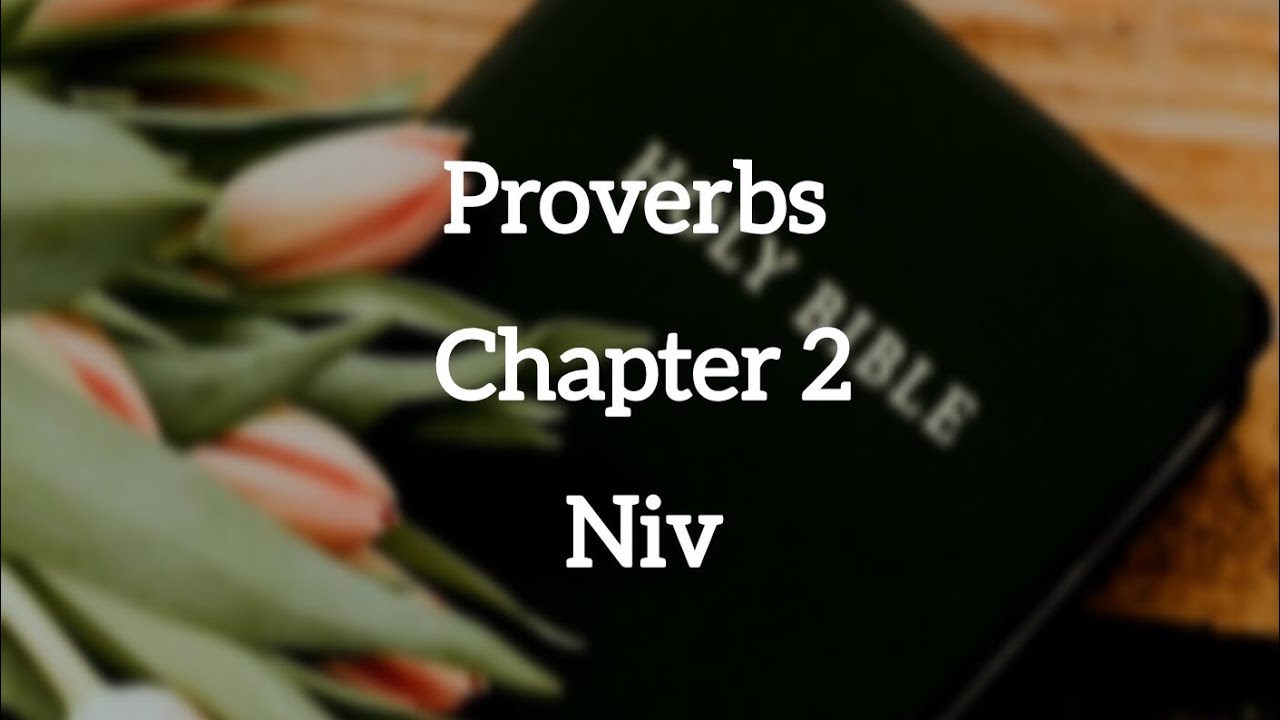 Proverbs Chapter 2 Niv ||Audio Bible - YouTube