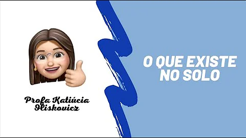 O que tem dentro do solo?