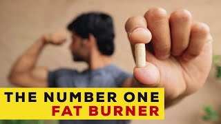 THE ONLY FAT LOSS SUPPLEMENT WHICH GIVES RESULTS || MUST WATCH VIDEO