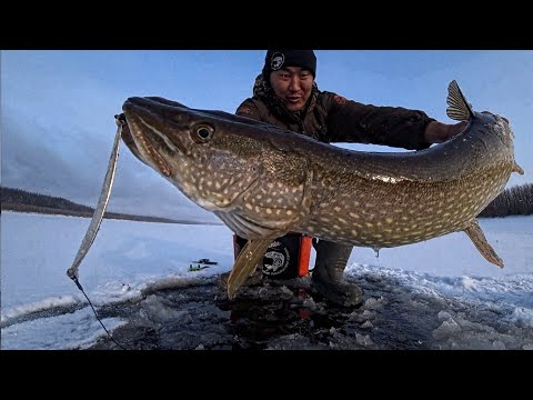 В РЫБНУЮ ЯМУ УШЁЛ ВТИХАРЯ ОТ ВСЕХ!